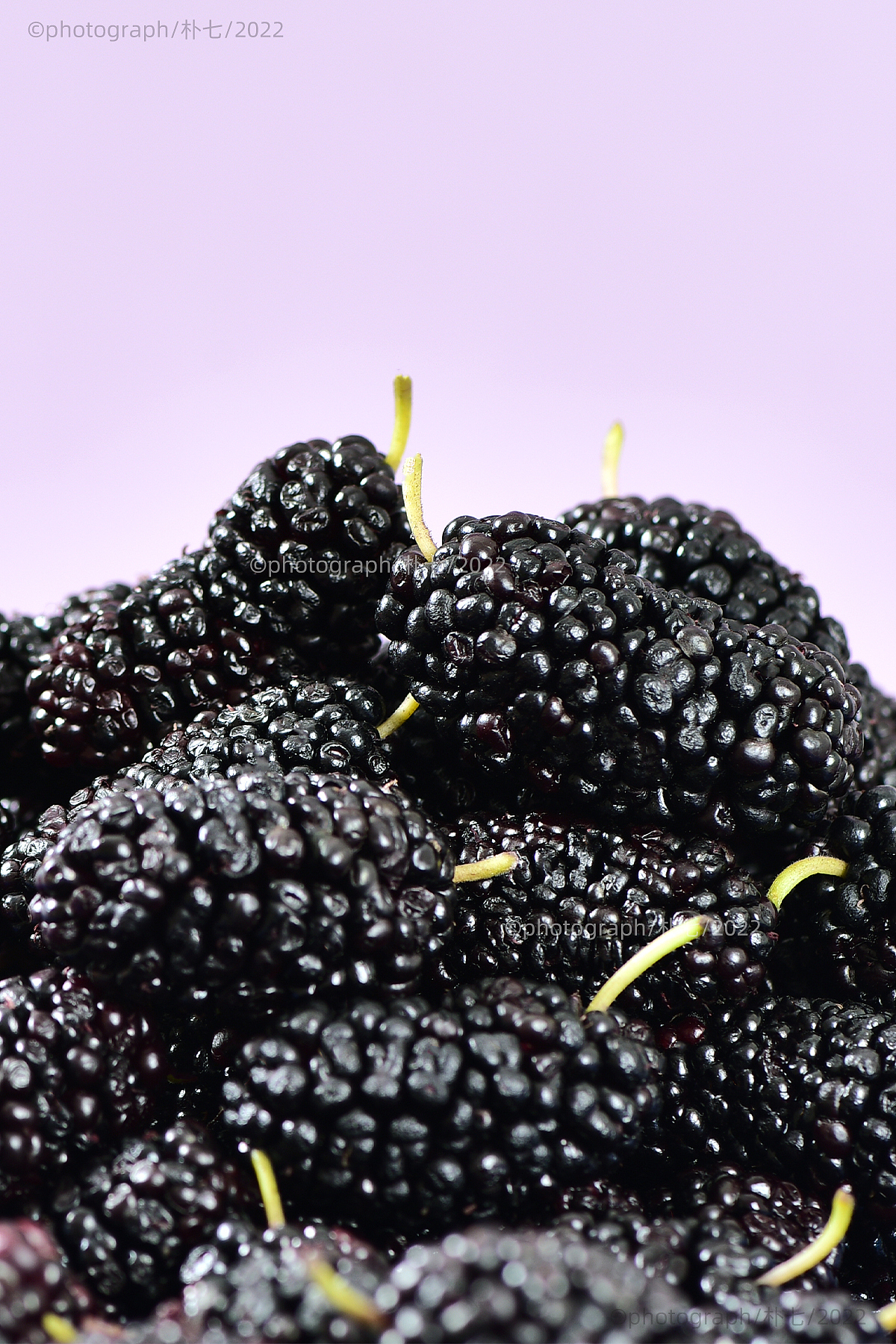 桑葚干i静物拍摄|摄影|美食摄影|朴七_原创作品-站酷zcool