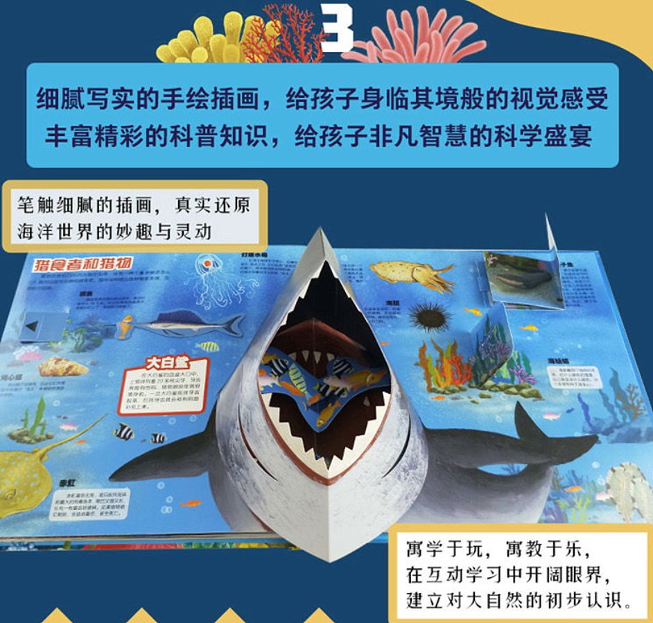 上海立体书工厂-设计-制作海洋立体书（图ZMzEzODQ4NTQ4） - 工艺品设计 - 站酷设计师立体书设计制作原创素材 - 站酷ZCOOL