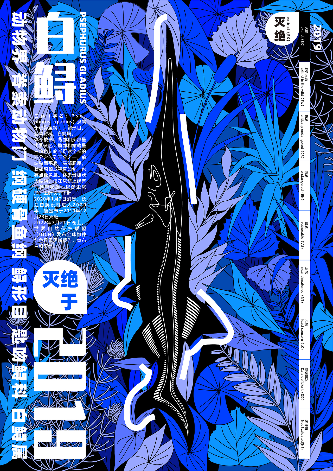 #2023 青春答卷#《白鲟》