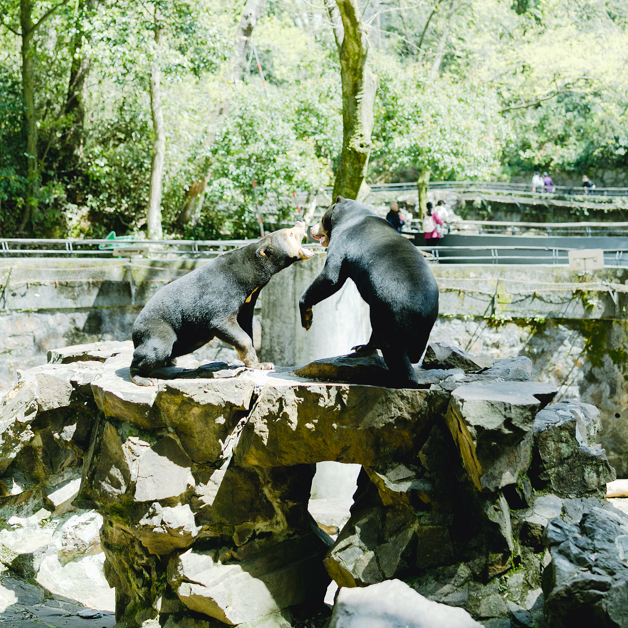 你是春天的一部分