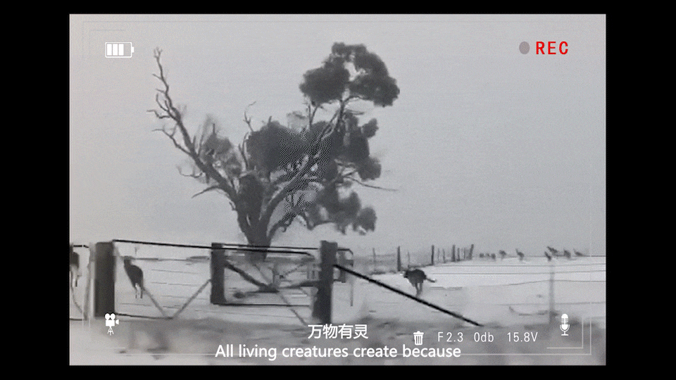 女装拍摄 墨尔本《我们一直在旅行》新浪漫主义 香影