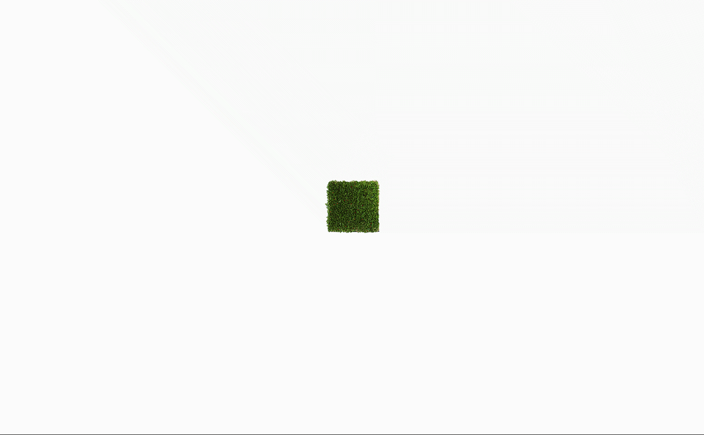 #2022青春答卷#第二棵树｜TREE 02（图ZMzA0MTEwODA0） - 其他网页 - 站酷设计师央美设计学院原创素材 - 站酷ZCOOL