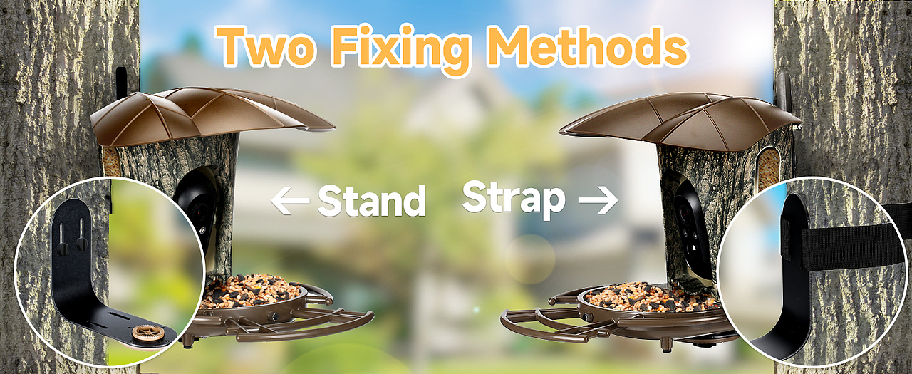 亚马逊跨境喂鸟器A+页面电商设计（图ZMzYwMjU3NjI4） - 电商 - 站酷设计师喵倪大爷原创素材 - 站酷ZCOOL