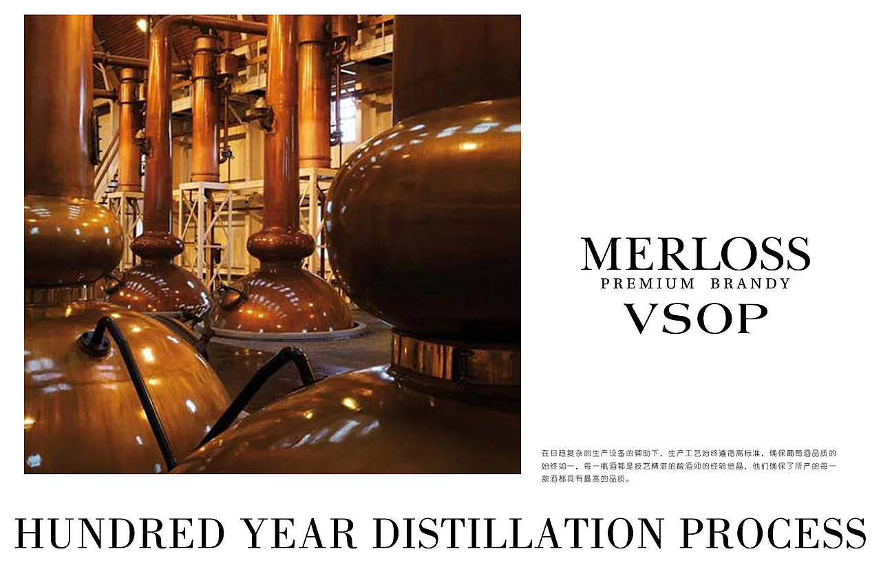 MERLOSS白兰地洋酒包装