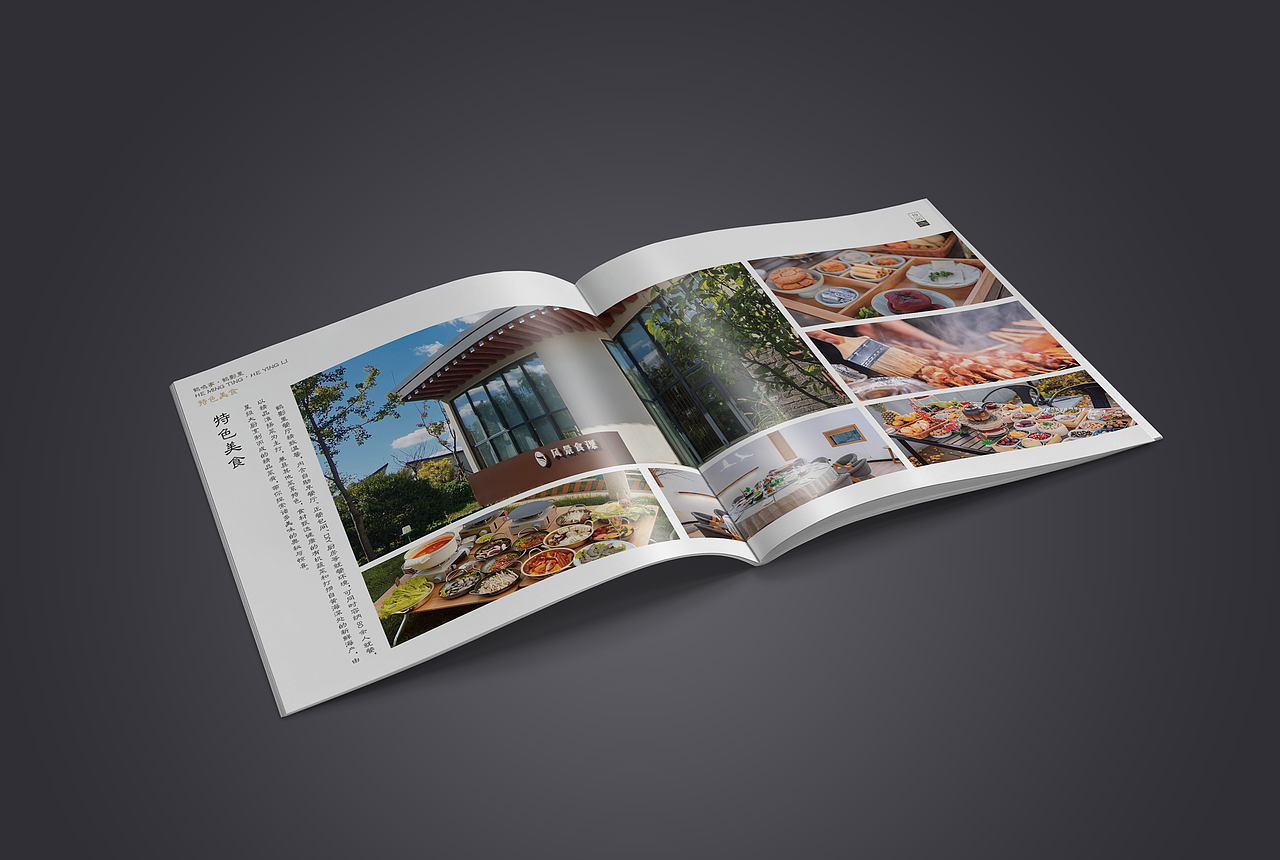 【画册设计】-鹤影里民宿-WS·M