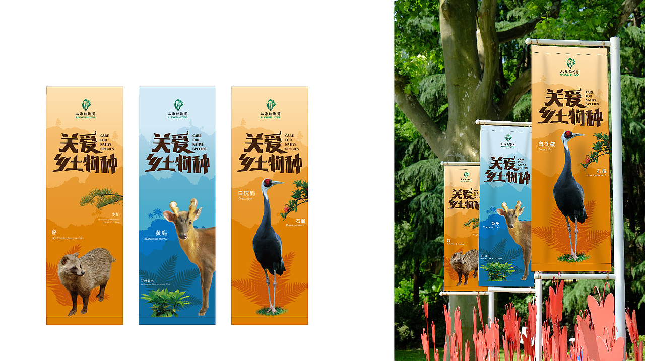 CARE FOR NATIVE SPECIES-动植物科普活动