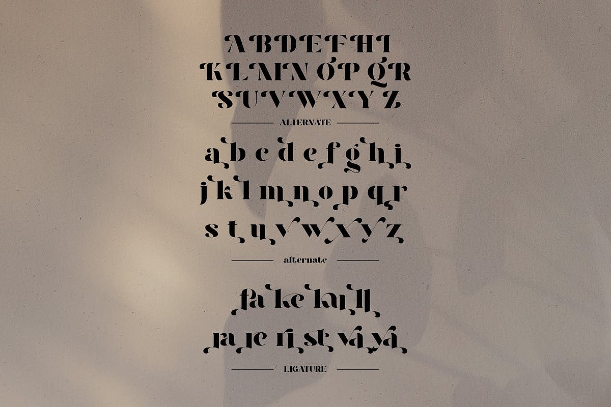 高级优雅时尚现代极简主义经典品牌标识标题英文字体