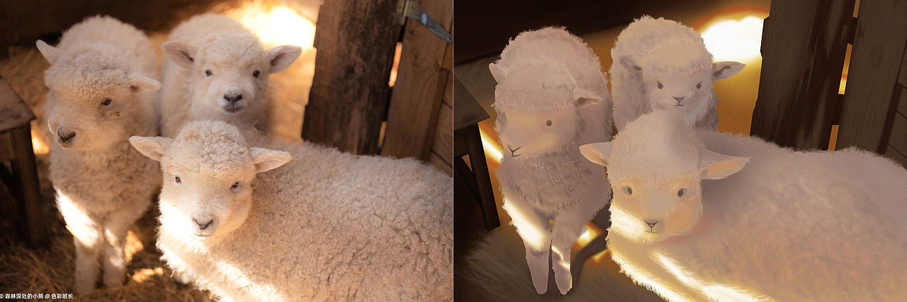 色彩60天挑战赛总结