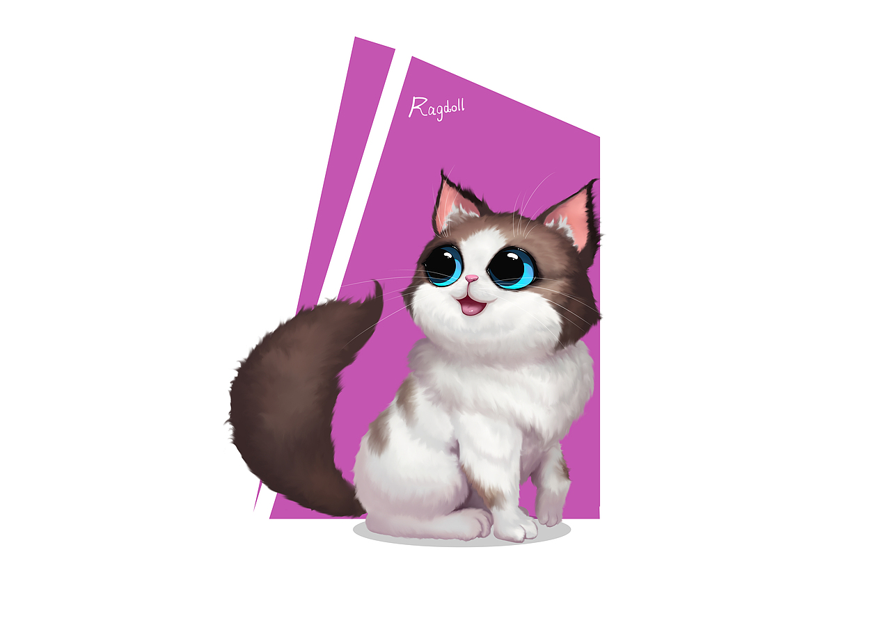 系列猫咪原画-加菲,布偶,波斯,黑猫,暹罗,折耳