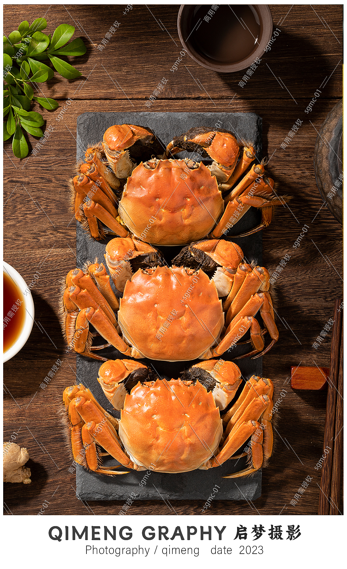 金秋十月-阳澄湖大闸蟹 X 启梦摄影