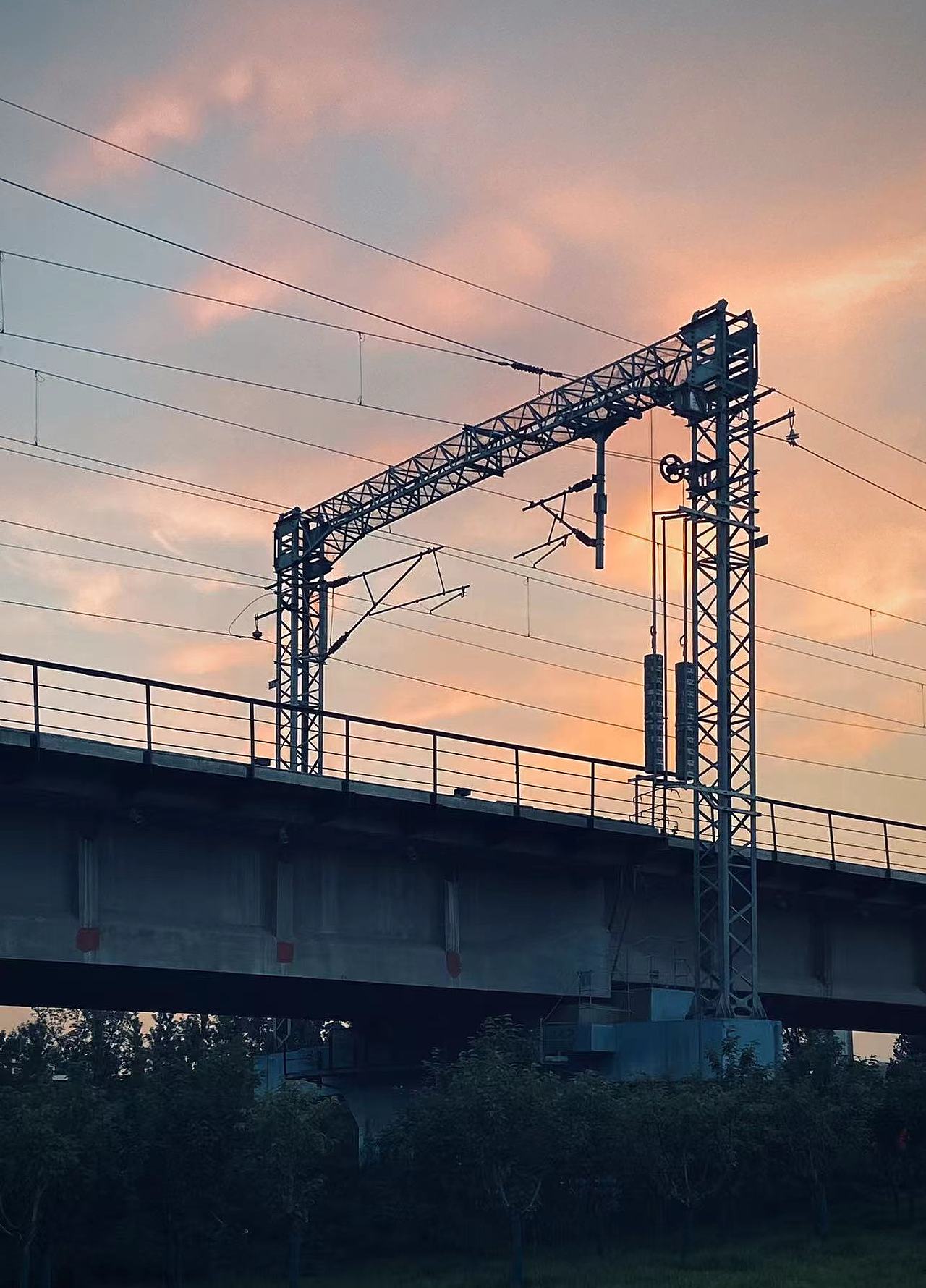 手机拍照日常,调色3