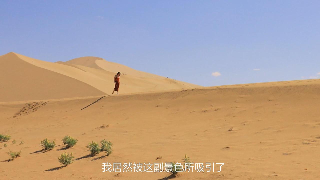 短片《牌昼降临》混剪