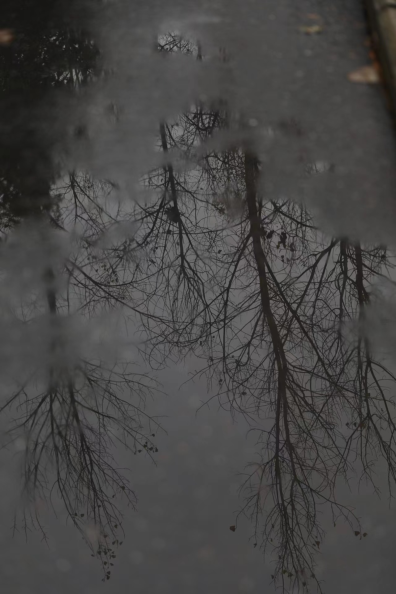 黑白灰（图ZMzM0Nzg0MTY4） - 风光摄影 - 站酷设计师白白是日梦原创素材 - 站酷ZCOOL