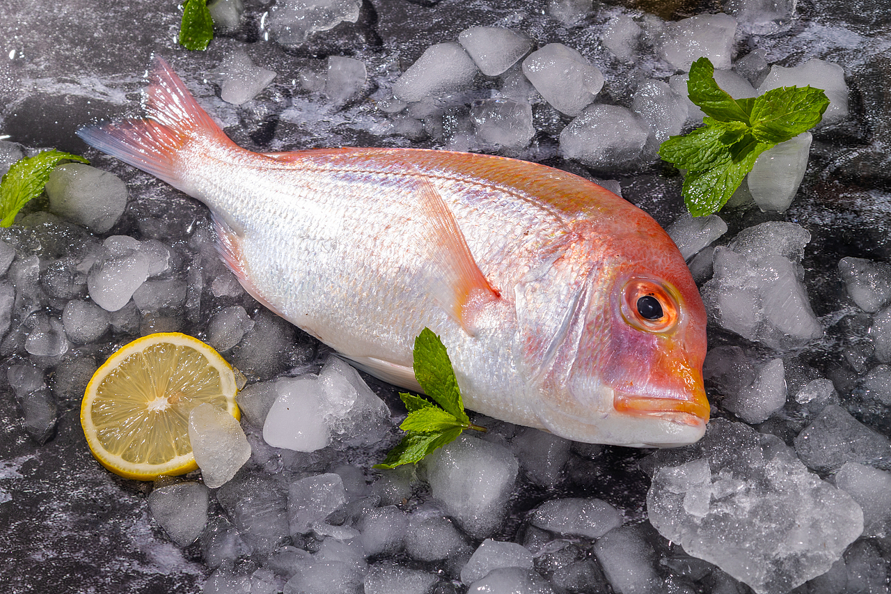 铜彭鱼（图ZMzQ3MTYyMTg0） - 产品摄影 - 站酷设计师accganjue原创素材 - 站酷ZCOOL