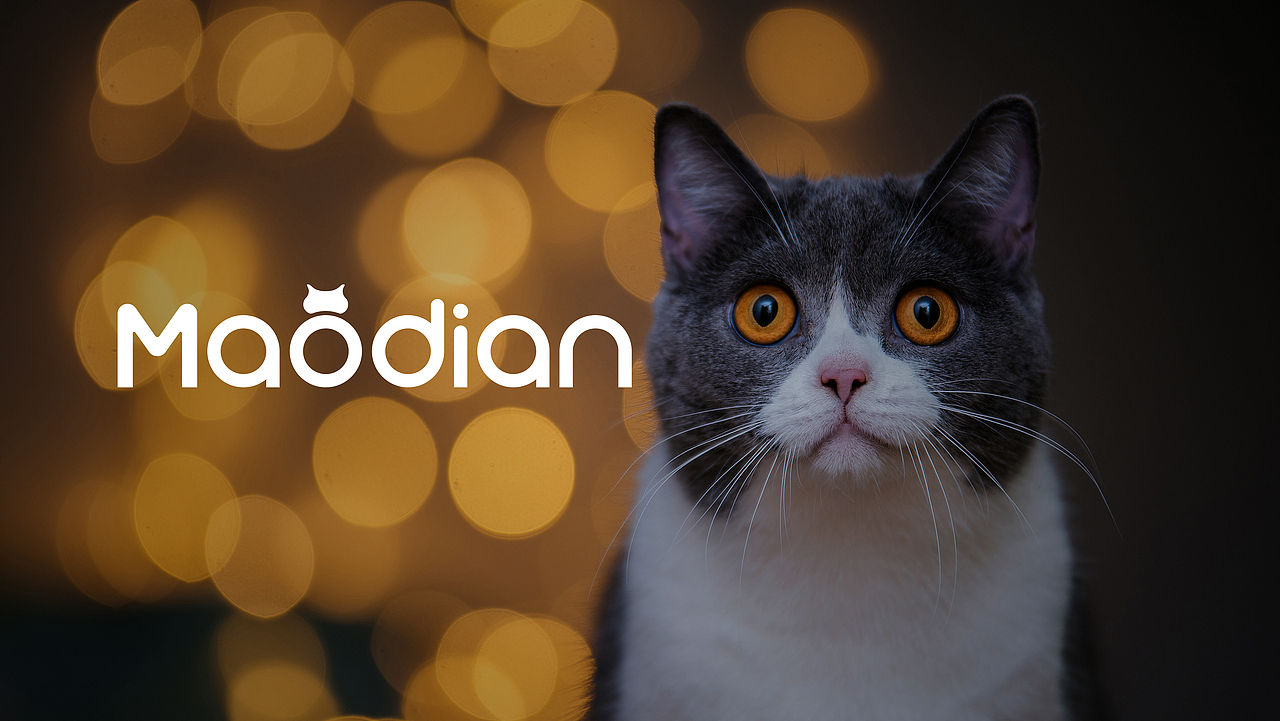 猫点logo升级设计