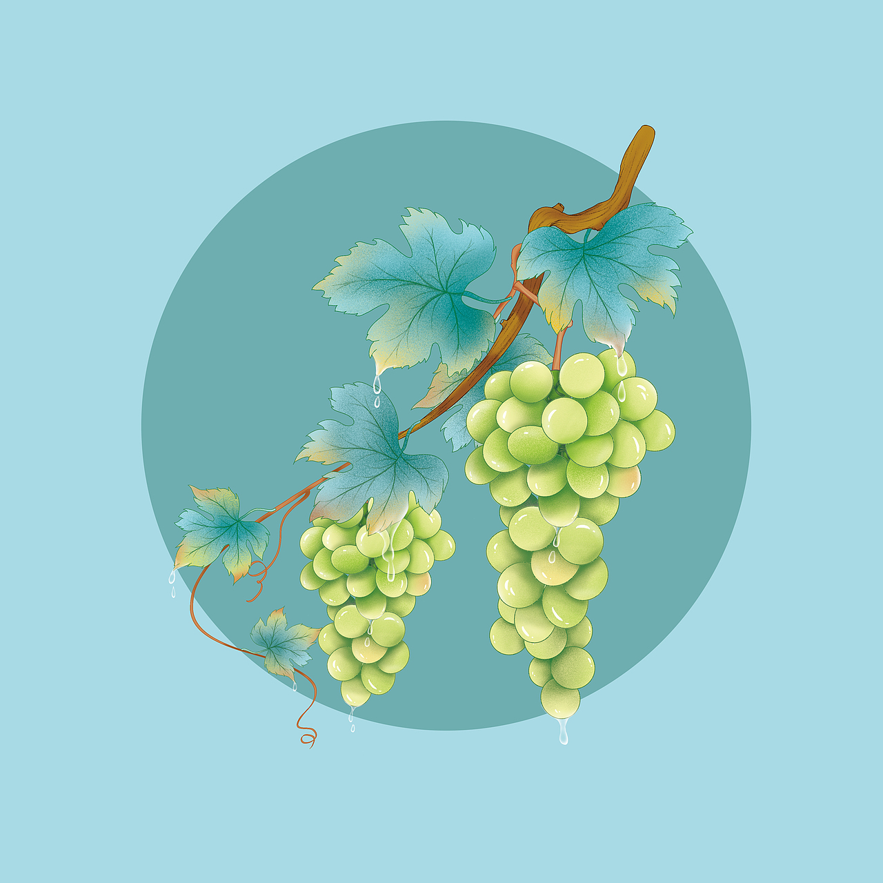 葡萄插画礼盒（图ZMzQ3MDAyNTI0） - 包装 - 站酷设计师璀璨2020原创素材 - 站酷ZCOOL