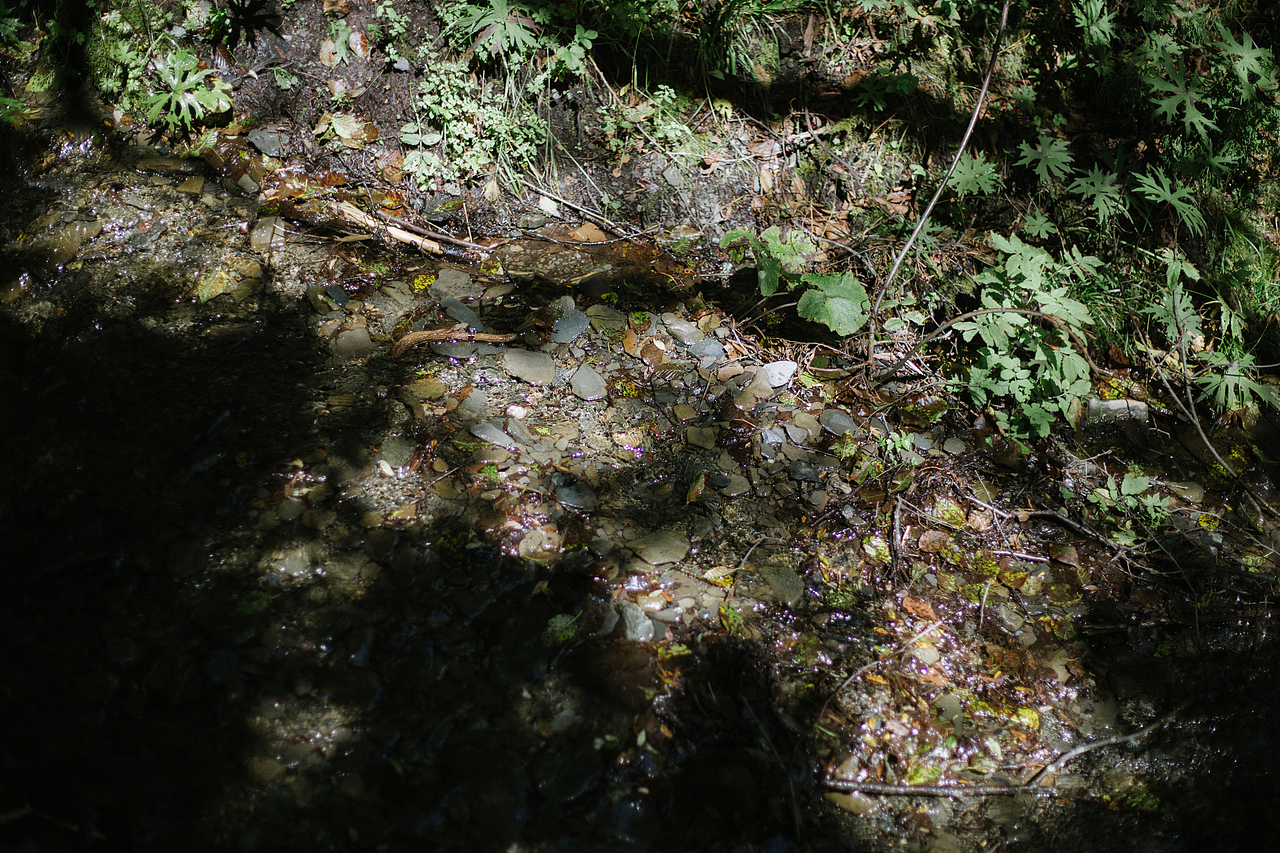 川藏线上的一些随手拍