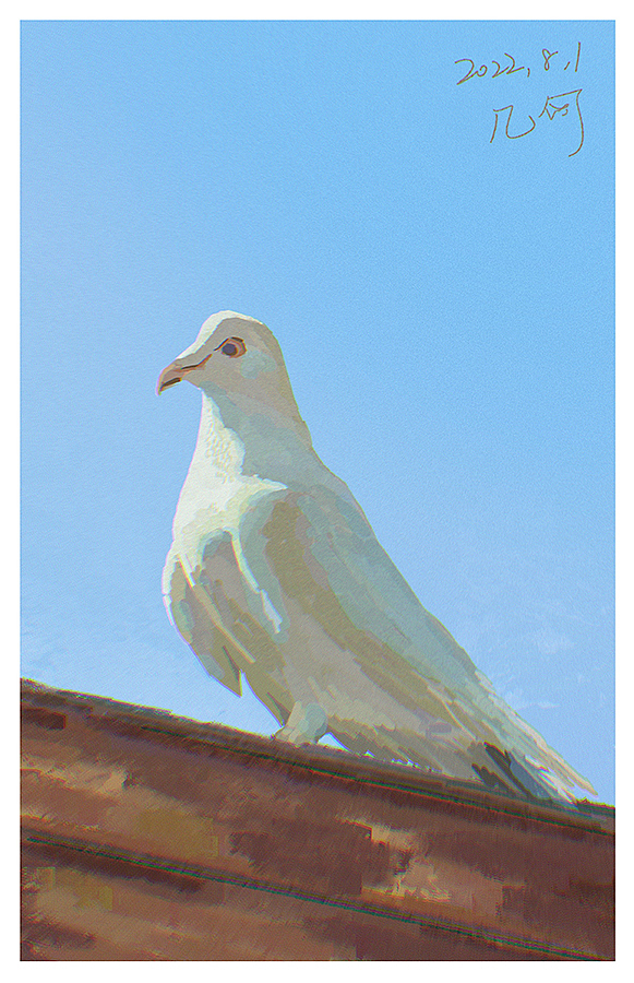 补发一些暑假的色彩练习