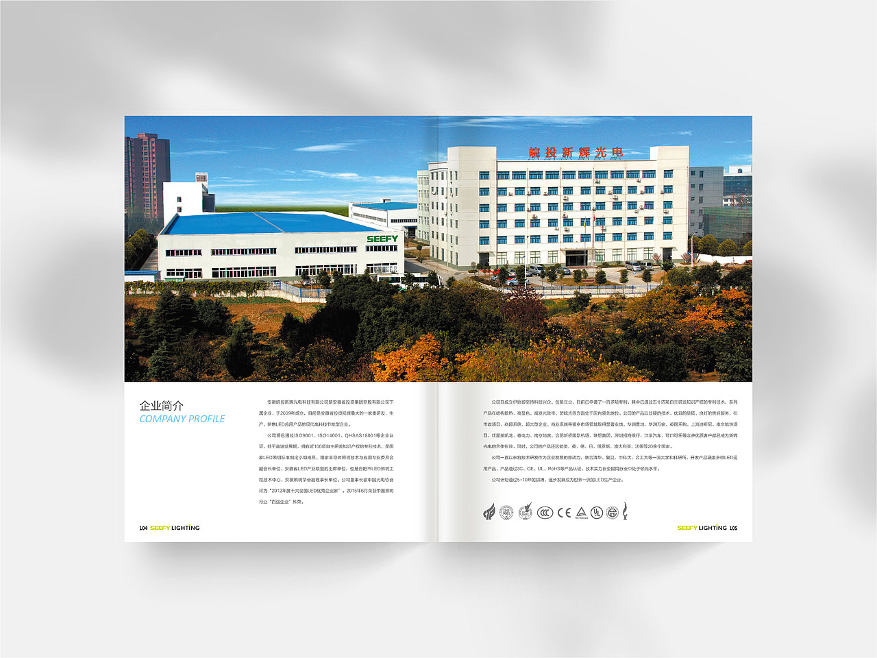 新辉光电|画册设计