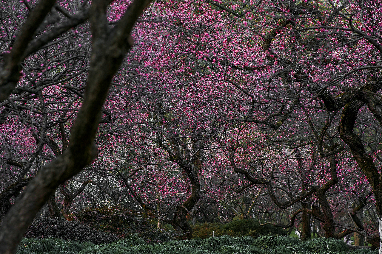 城市风貌系列6（图ZMzYzMTQ2MTg4） - 风光摄影 - 站酷设计师莫潘原创素材 - 站酷ZCOOL