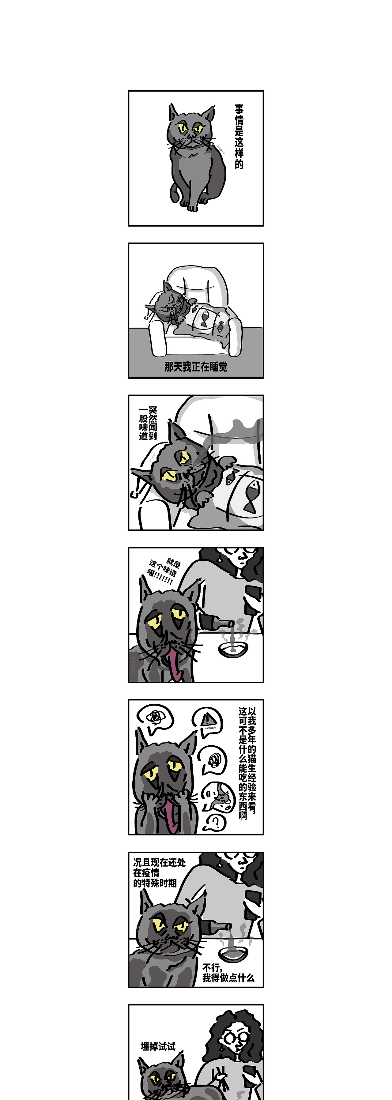 [自制动画]猫：我刚刚干了件大事（图ZMjk5NjI3MDQ4） - 动画片 - 站酷设计师403最大号原创素材 - 站酷ZCOOL