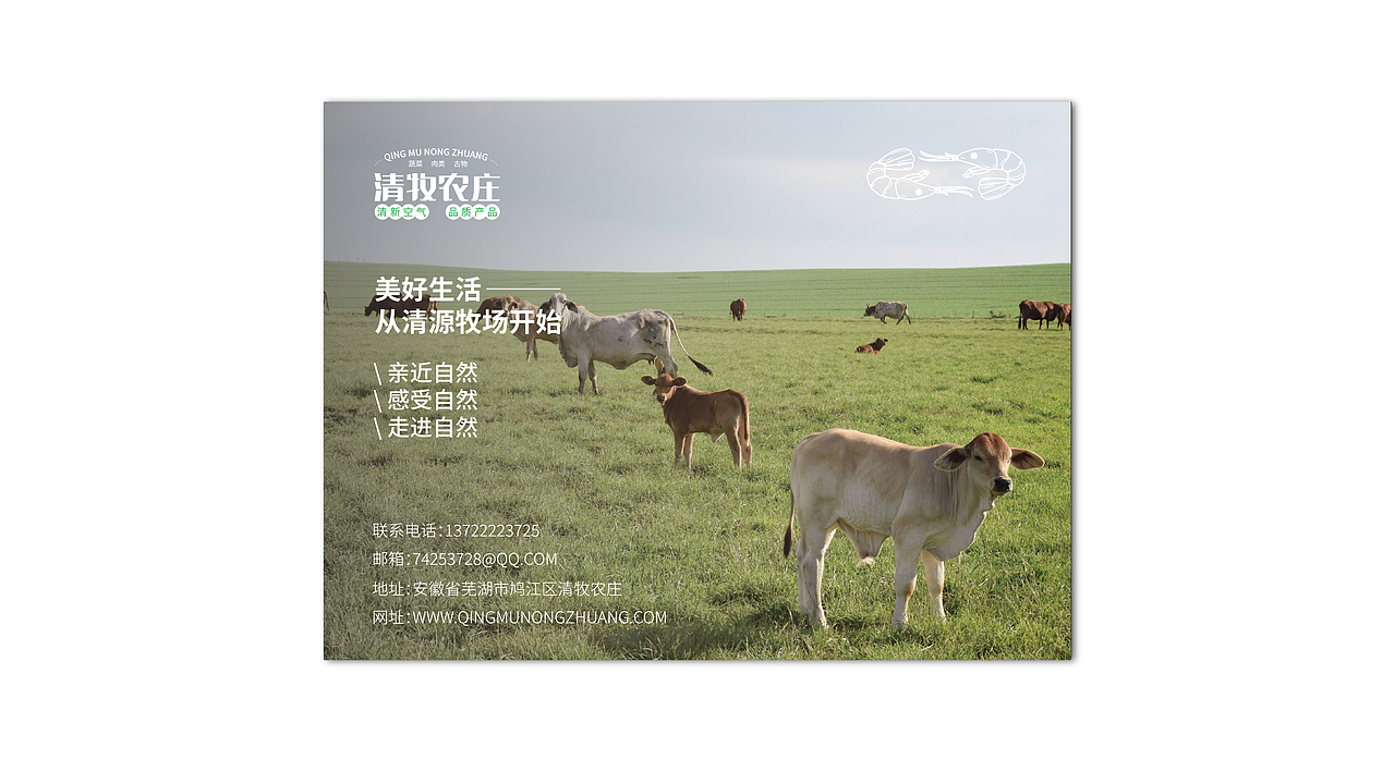 清牧农场品牌设计（图ZMzEyNzc2ODI0） - 品牌 - 站酷设计师自然卷_品牌设计原创素材 - 站酷ZCOOL