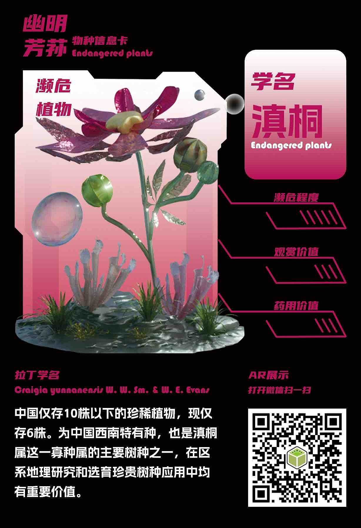 幽明芳荪——中国境内濒危植物数字化视觉形象设计