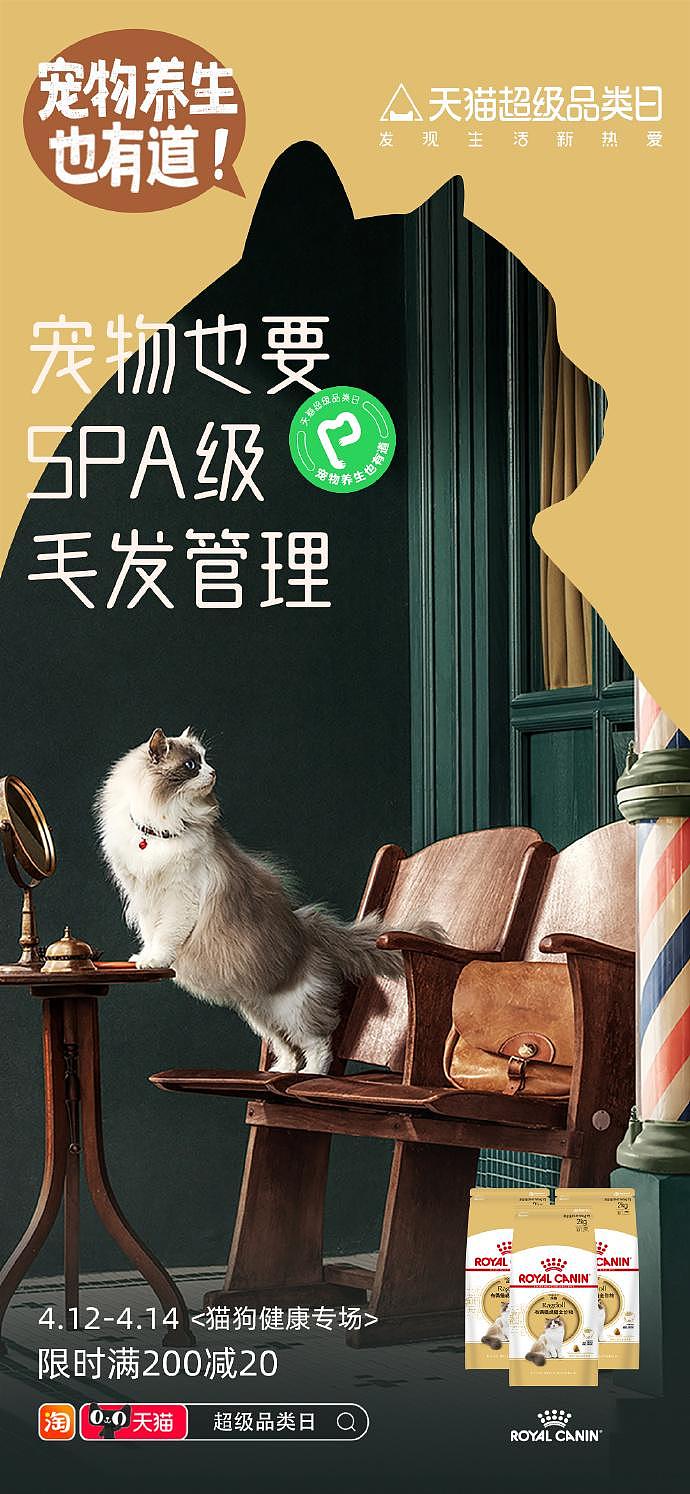 广告拍摄 | 宠物养生也有道 x NOZ_FEIZI