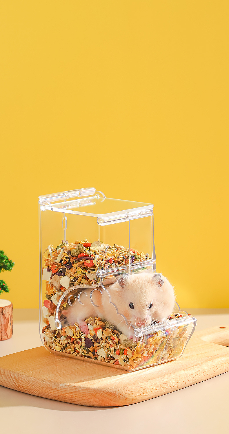 随手拍 I 仓鼠透明食盒