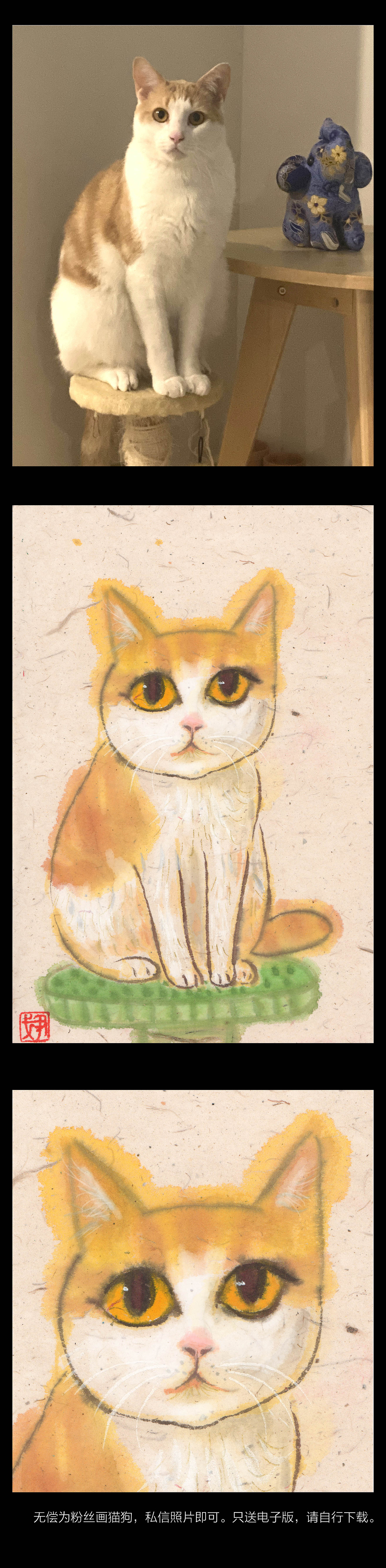 无偿为粉丝画猫狗活动,在站酷也来一波,三天截止。