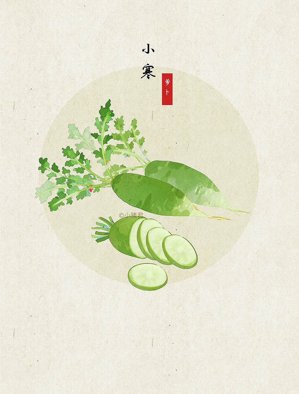 我小时候都是绿萝卜,生吃甜甜的