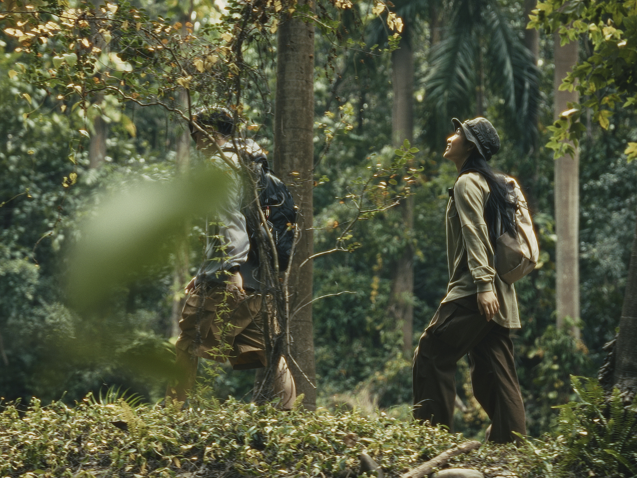 夏天适合爬山（图ZMzY5OTQ5ODI4） - 短片 - 站酷设计师阿焕是个按快门的原创素材 - 站酷ZCOOL