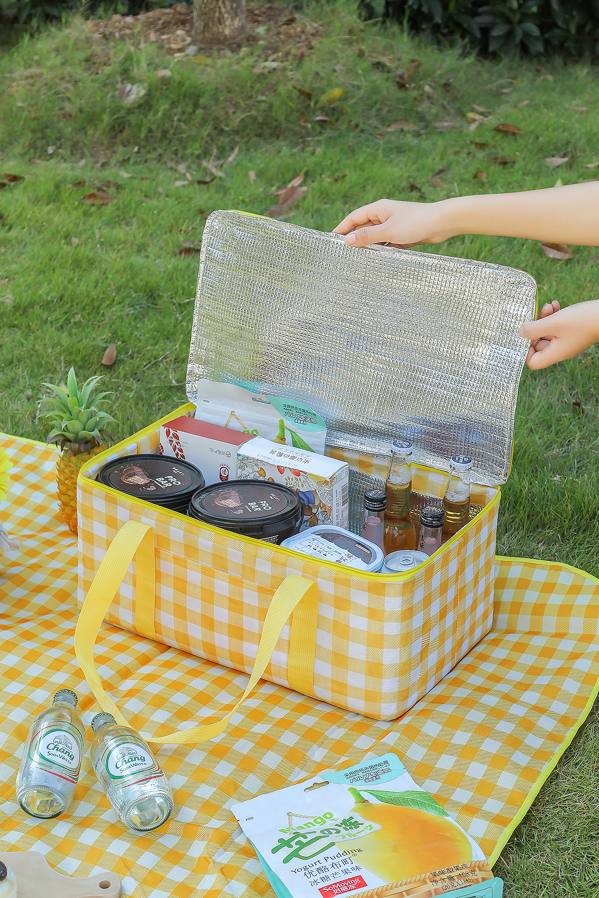 产品摄影野餐垫