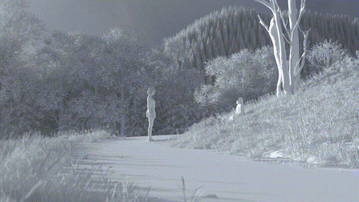 SILENTHILL F（图ZMzQ0NTUwNjU2） - 场景 - 站酷设计师Obesity_Zhu原创素材 - 站酷ZCOOL