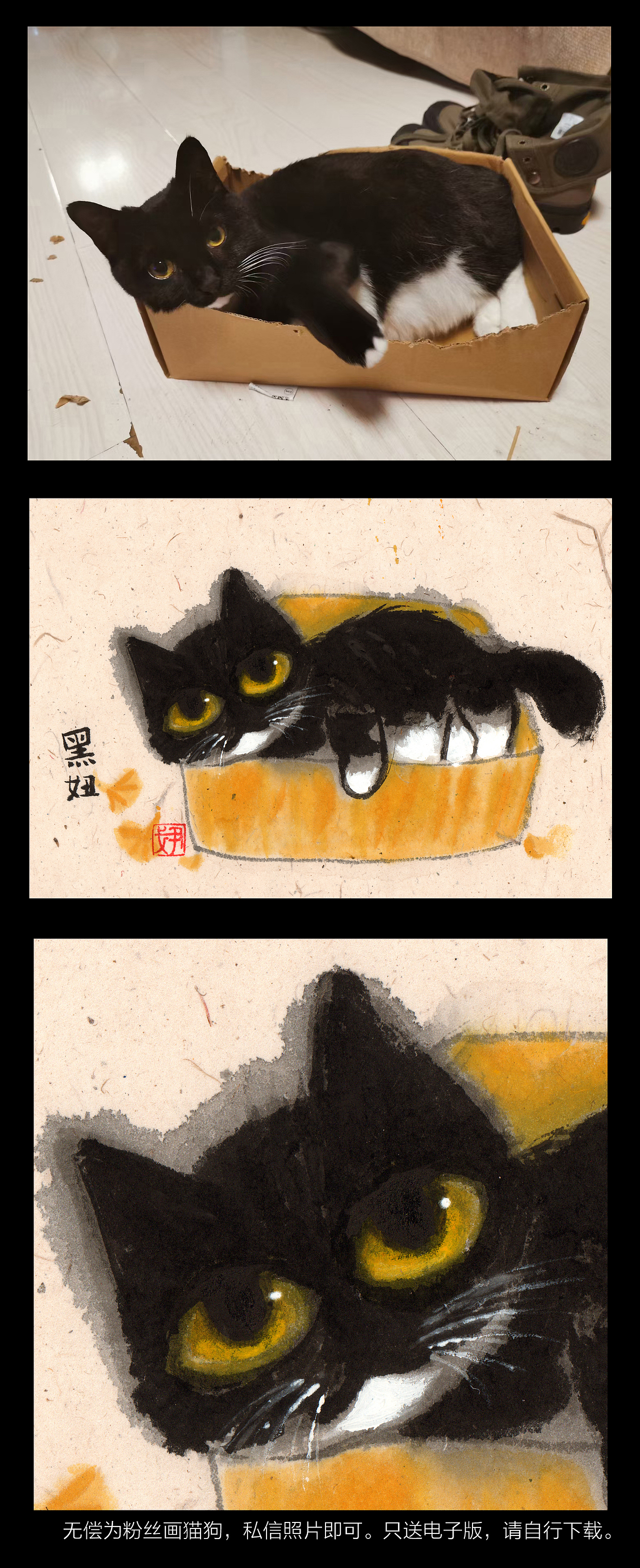 无偿为粉丝画猫狗活动,在站酷也来一波,三天截止。