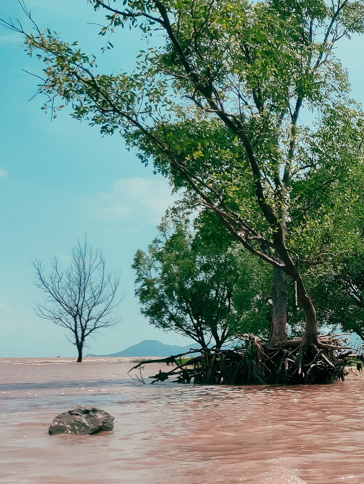 海岛之美 【手机摄影】