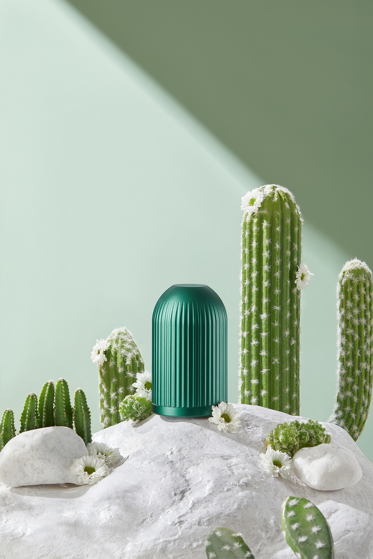 茶叶罐-茶具（图ZMzE5MjkxNzky） - 产品摄影 - 站酷设计师我叫大菠萝原创素材 - 站酷ZCOOL