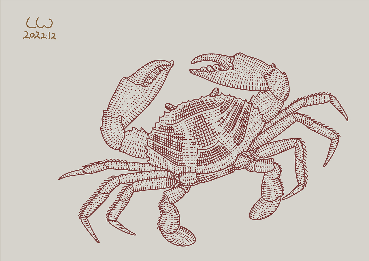 LW:大闸蟹包装插画（图ZMzI0OTcwNzA0） - 商业插画 - 站酷设计师亦冬原创素材 - 站酷ZCOOL