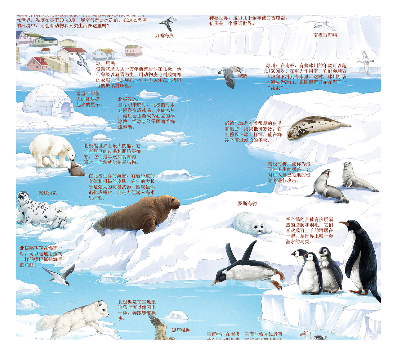 科普海洋地理太空绘本（图ZMzIwODcwMDky） - 绘本 - 站酷设计师果冻文化工作室原创素材 - 站酷ZCOOL