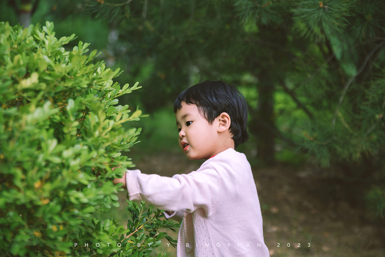 喜欢夏天和你笑起来的样子