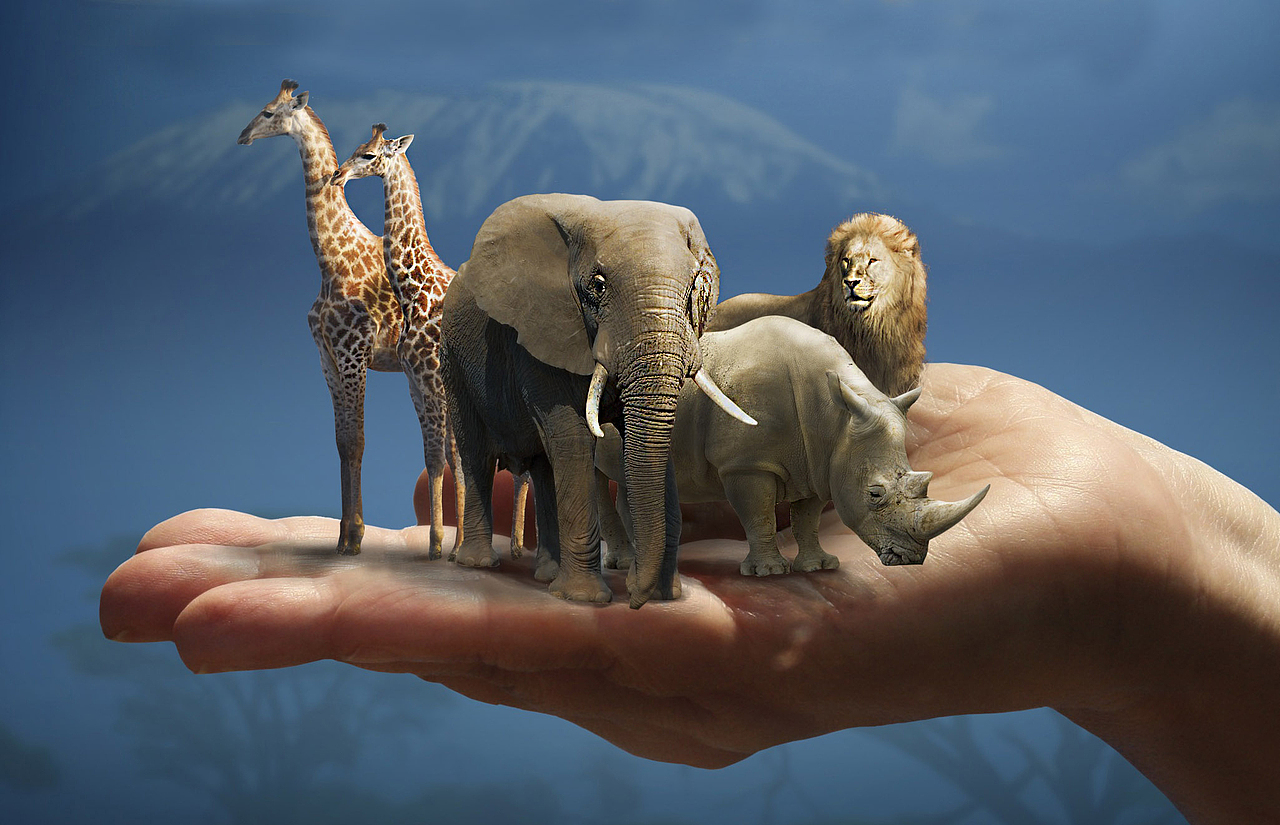 使用各种工具作图