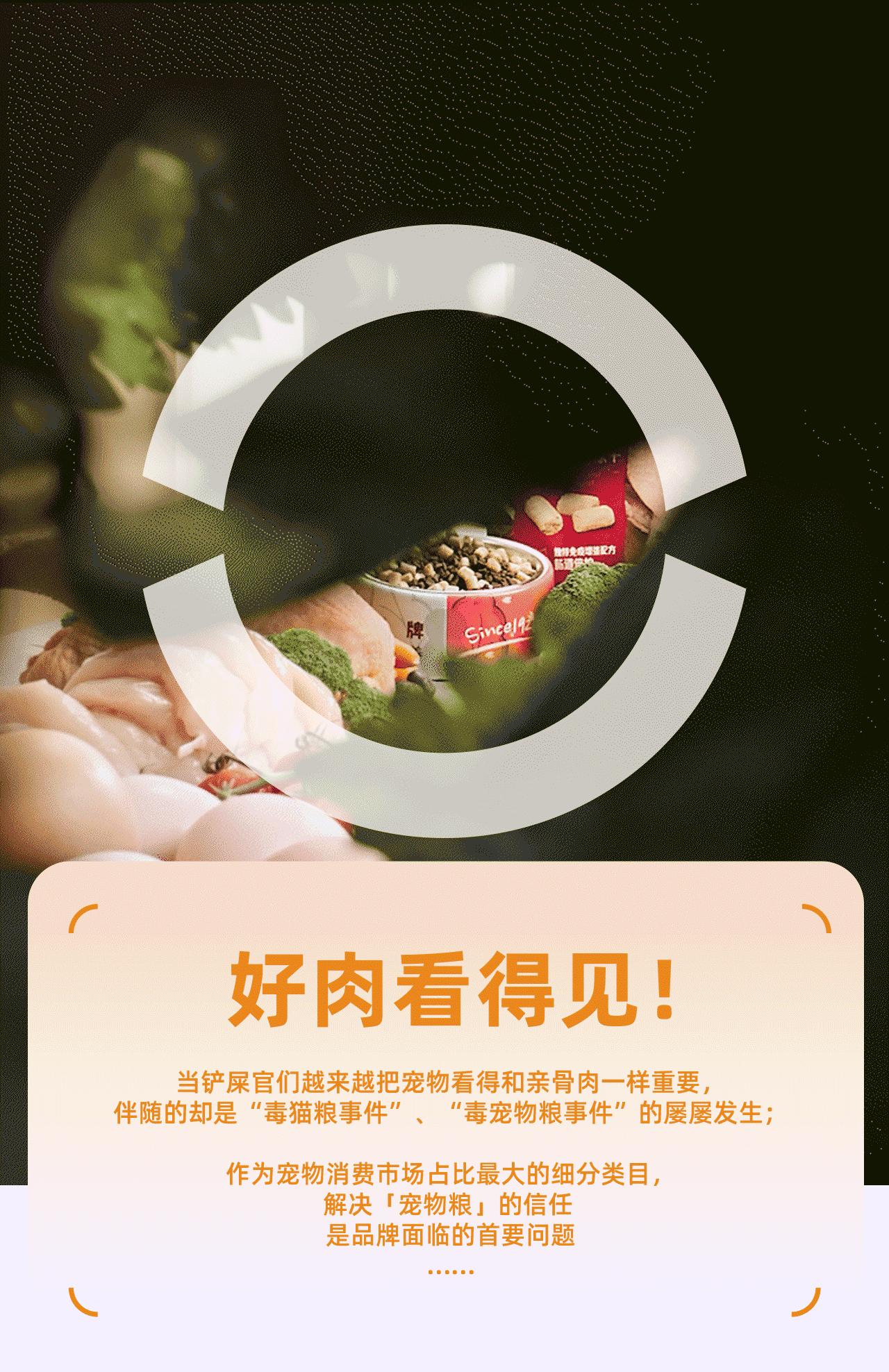 【超级单品】佩玛斯特&乐趣视觉 猫粮超级单品分享