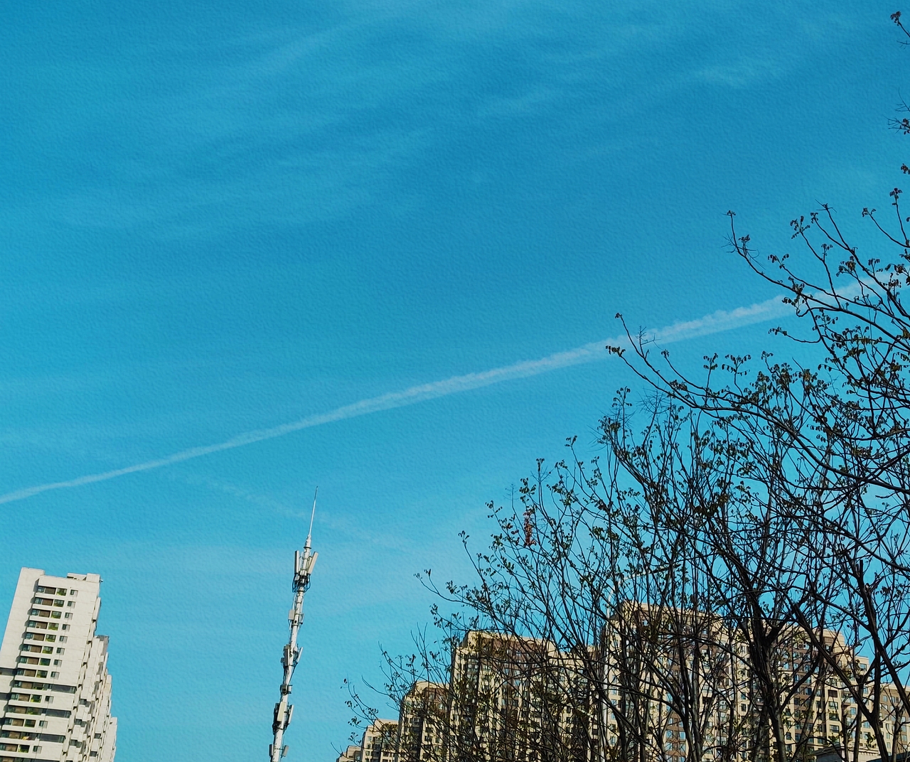 一些手机摄影 武汉樱花（图ZMzEwNTU5NzMy） - 风光摄影 - 站酷设计师小肖羊咩咩原创素材 - 站酷ZCOOL