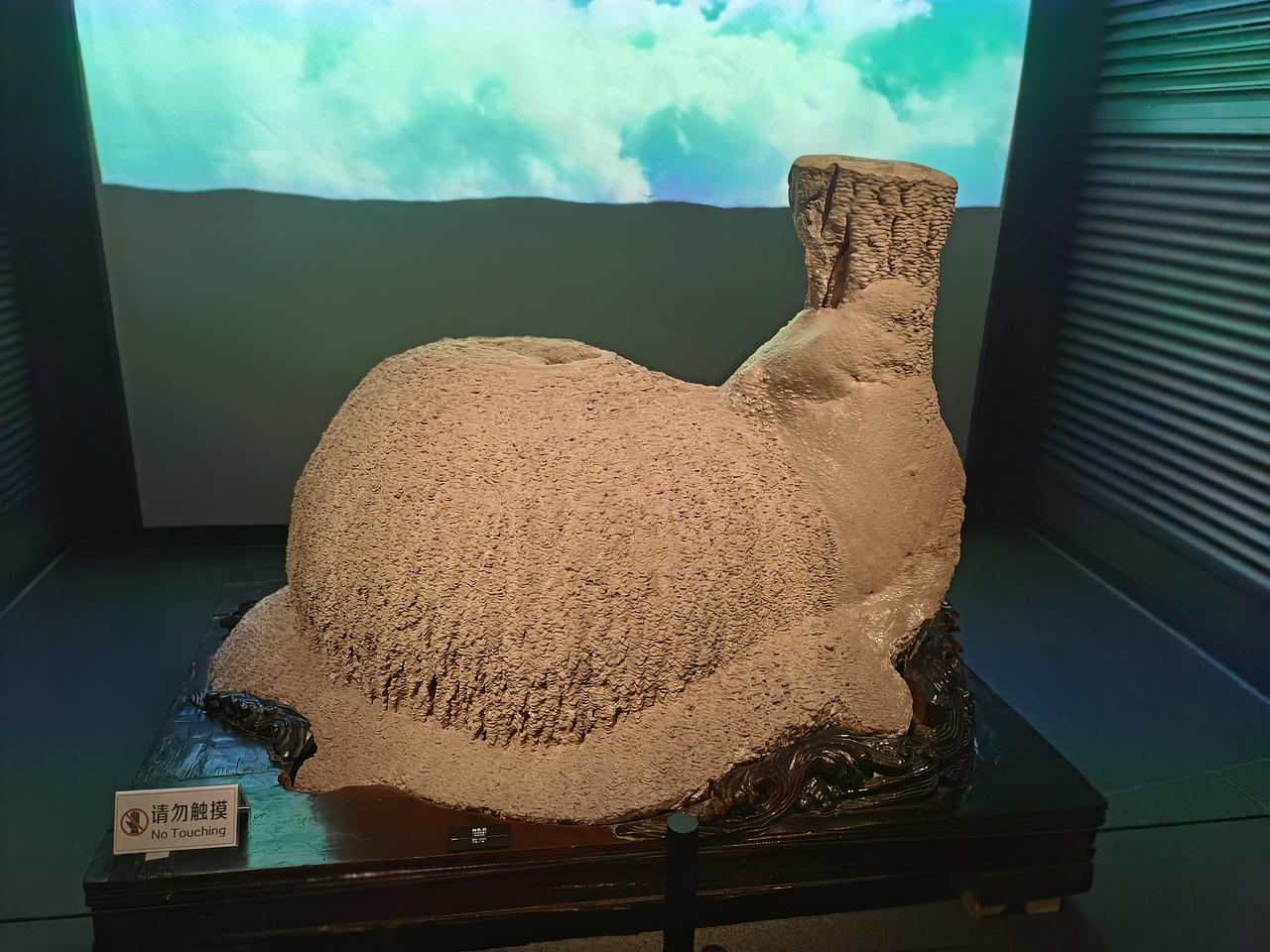 成都自然博物馆（图ZMzI0NTI3NTI4） - 展陈设计 - 站酷设计师聚光灯下锦衣夜行原创素材 - 站酷ZCOOL