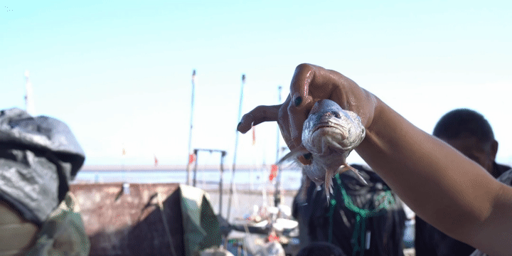 三門海碼頭|探訪記錄（圖ZMzA4NDQwNDUy） - 短片 - 站酷設(shè)計(jì)師絳的攝影日記原創(chuàng)素材 - 站酷ZCOOL