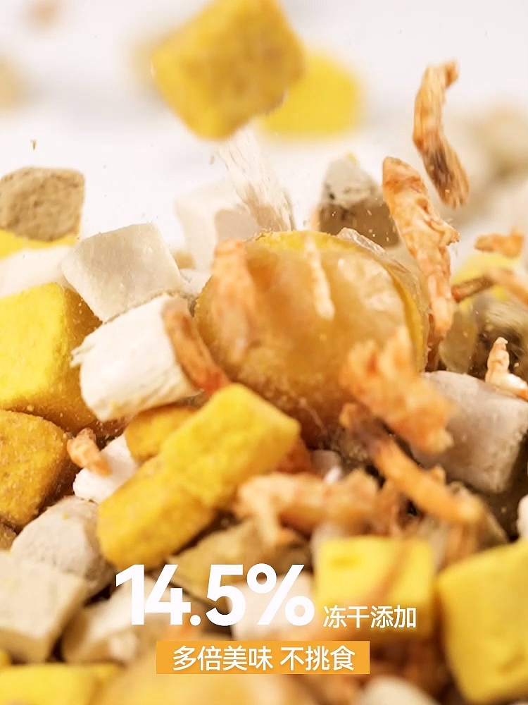 宠物头图视频丨狗粮