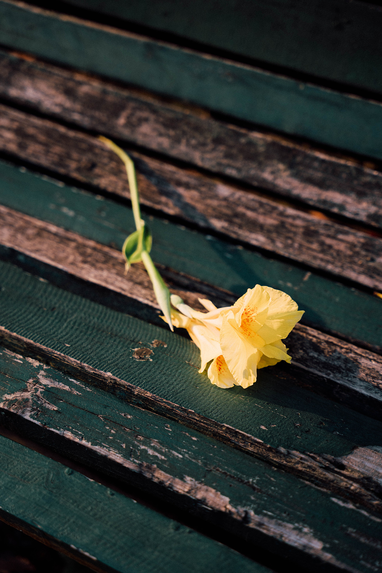 城市之野（图ZMzIyNzU3OTQ4） - 人像摄影 - 站酷设计师DarkAmber原创素材 - 站酷ZCOOL