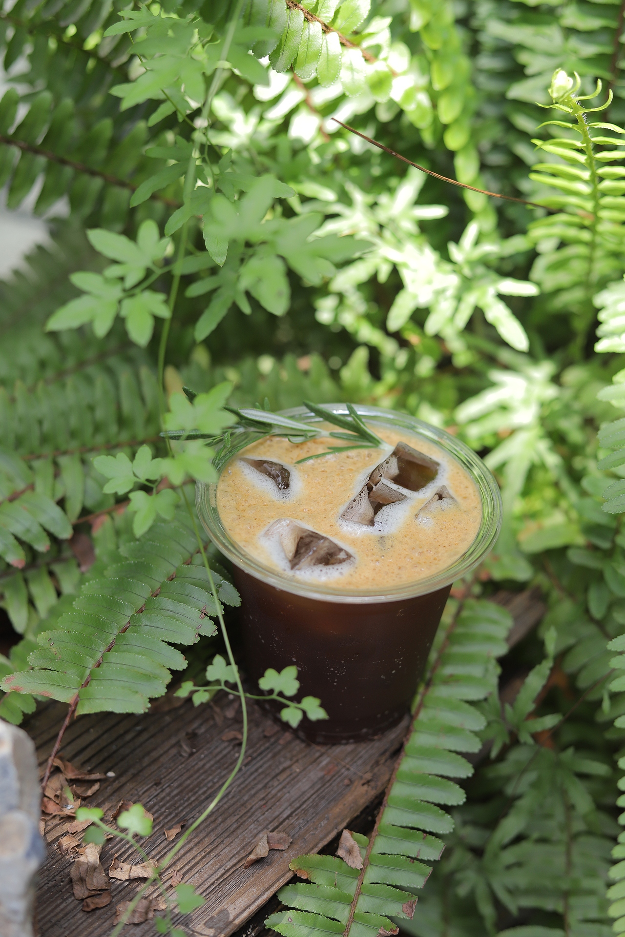 向野旗下·向野咖啡首店（图ZMzQ5ODQxNjIw） - 品牌 - 站酷设计师7troy原创素材 - 站酷ZCOOL