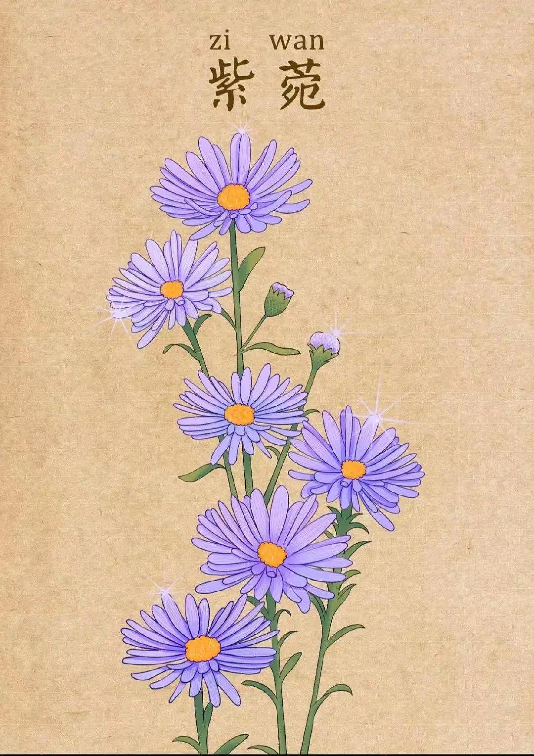 中药插画（图ZMzQ1MDUwNjky） - 艺术插画 - 站酷设计师龙龍Wsl原创素材 - 站酷ZCOOL