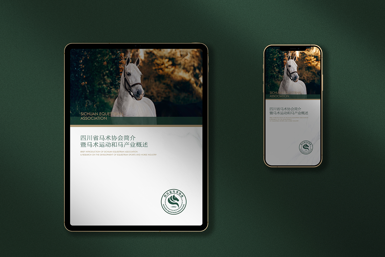 有禧设计 | 某省马术协会简介 伴手画册